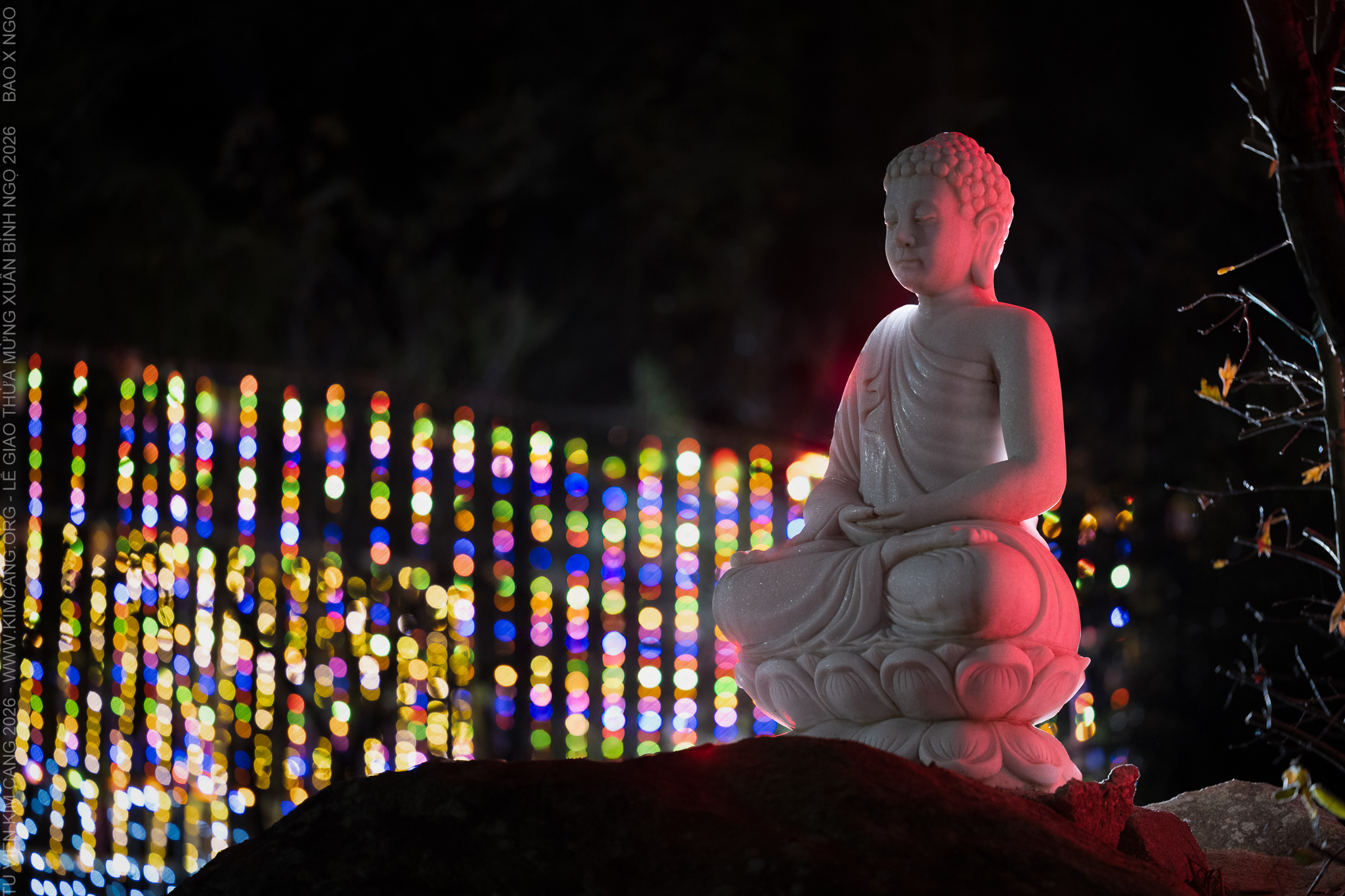 No description available