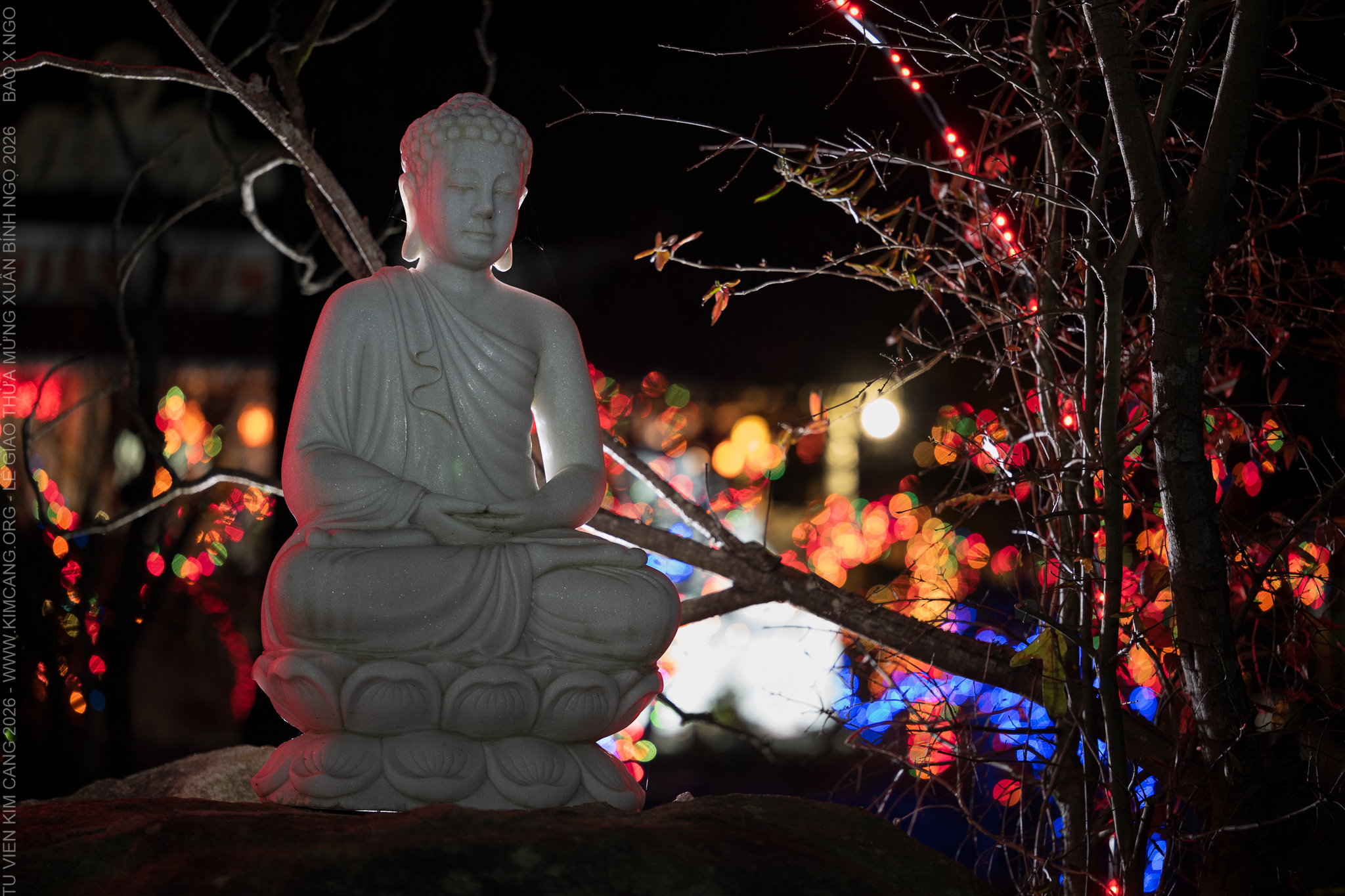 No description available